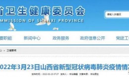 金帝股份最新爆料新闻视频,揭秘公司重大动态与未来战略布局