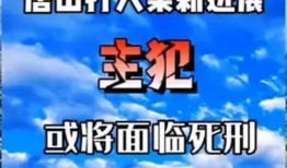 唐山打人者最新爆料新闻,细节披露，真相再引关注